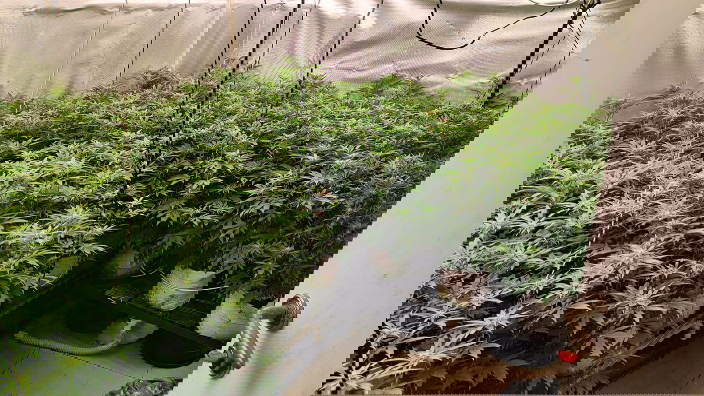 תיעוד מעבדת הסמים בבני ברק 