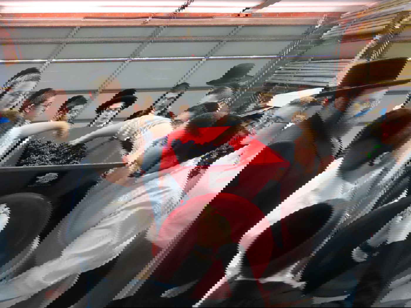 בחורי אוסטרליה בהכנת יין ביתי לקראת פסח