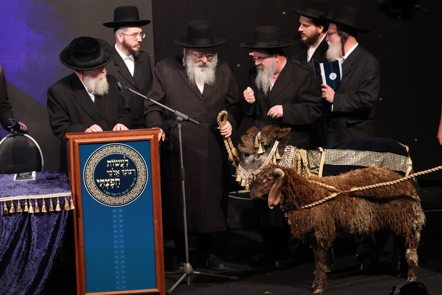 הרה"צ רבי נחמיה אלתר בפדיון פטר חמור
