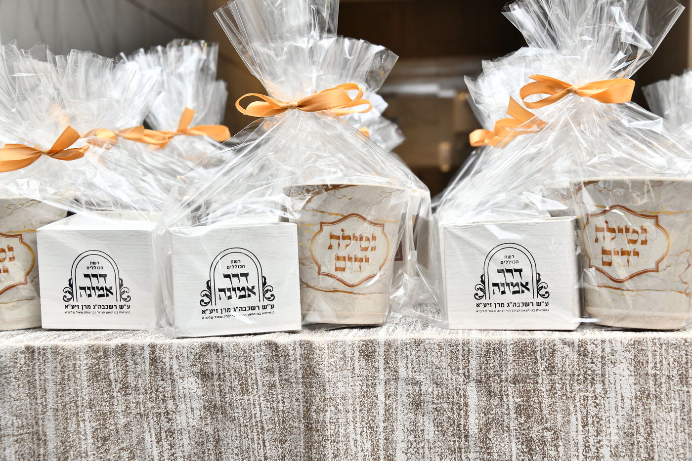 הכנסת ס"ת לביתו של הגר"ח קנייבסקי זצ"ל