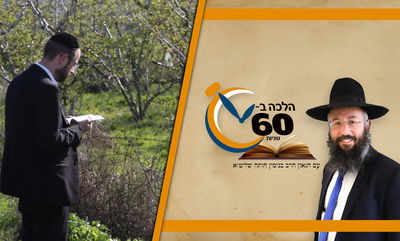 אלו סוגי האילנות הראויים ושאינם ראויים ל'ברכת האילנות' • צפו 