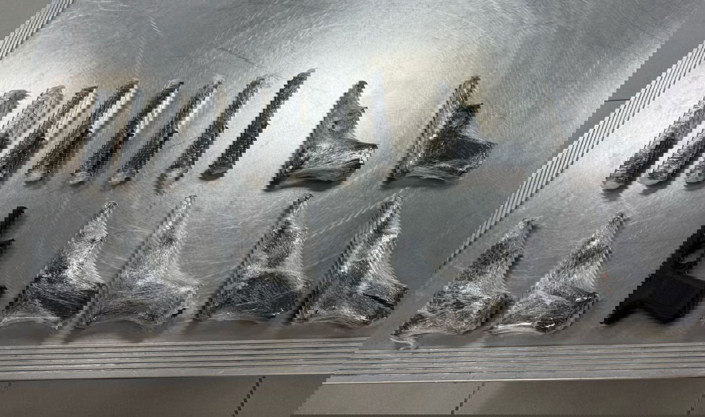 האקדחים שנתפסו