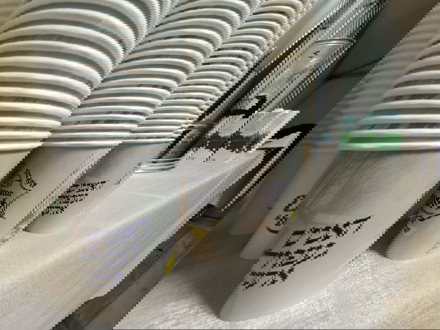 הילולא קדישא בליז'ענסק