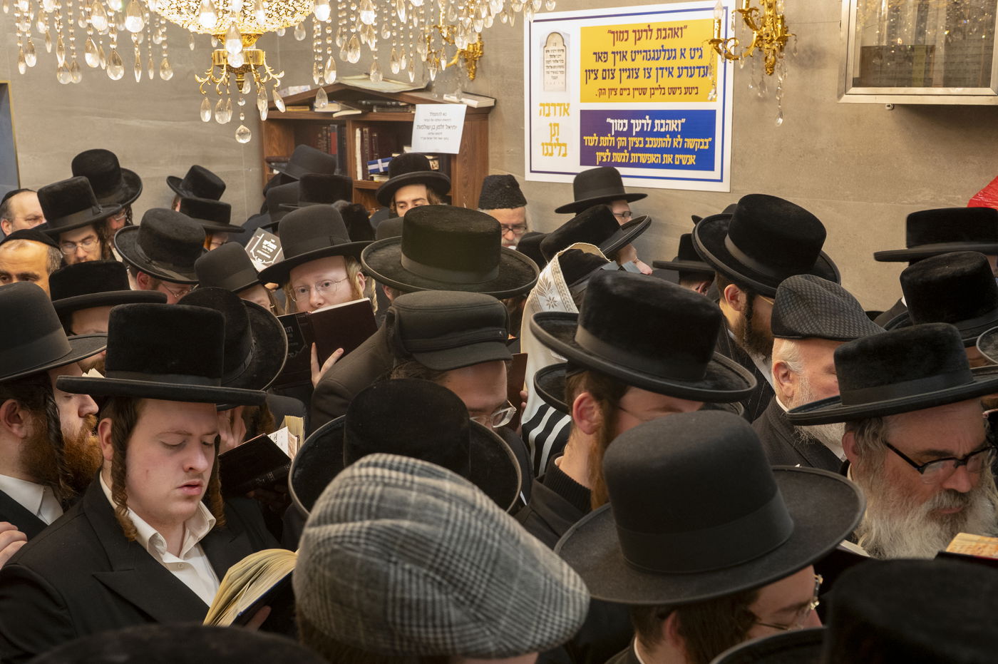 הילולא קדישא בליז'ענסק