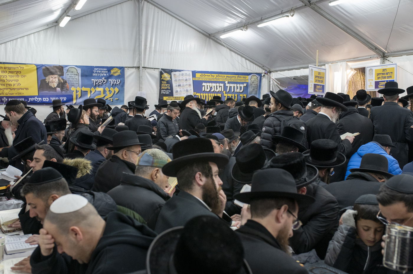 הילולא קדישא בליז'ענסק