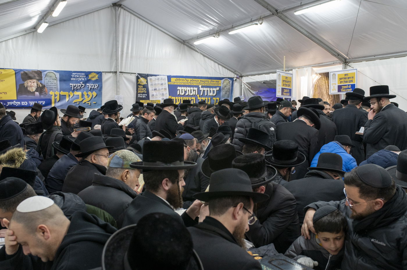 הילולא קדישא בליז'ענסק