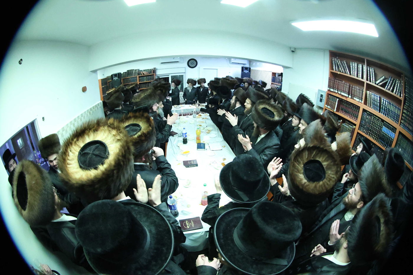 שמחת הלחיים לרגל קשרי השידוכין בחצרות ווערדאן - מישקולץ - עטרת צבי