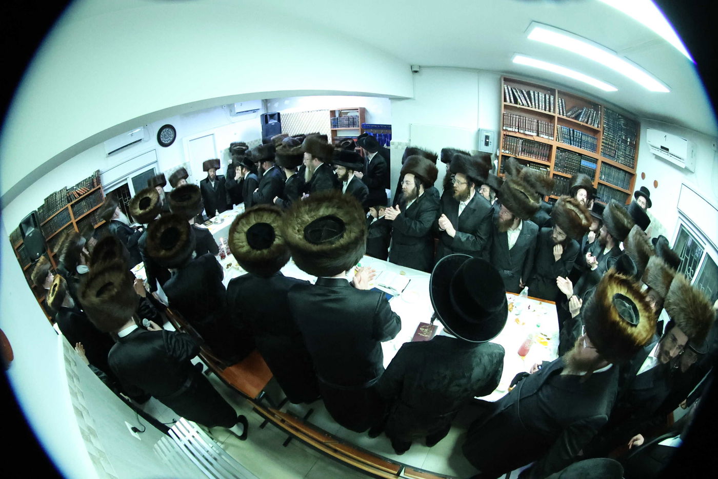 שמחת הלחיים לרגל קשרי השידוכין בחצרות ווערדאן - מישקולץ - עטרת צבי