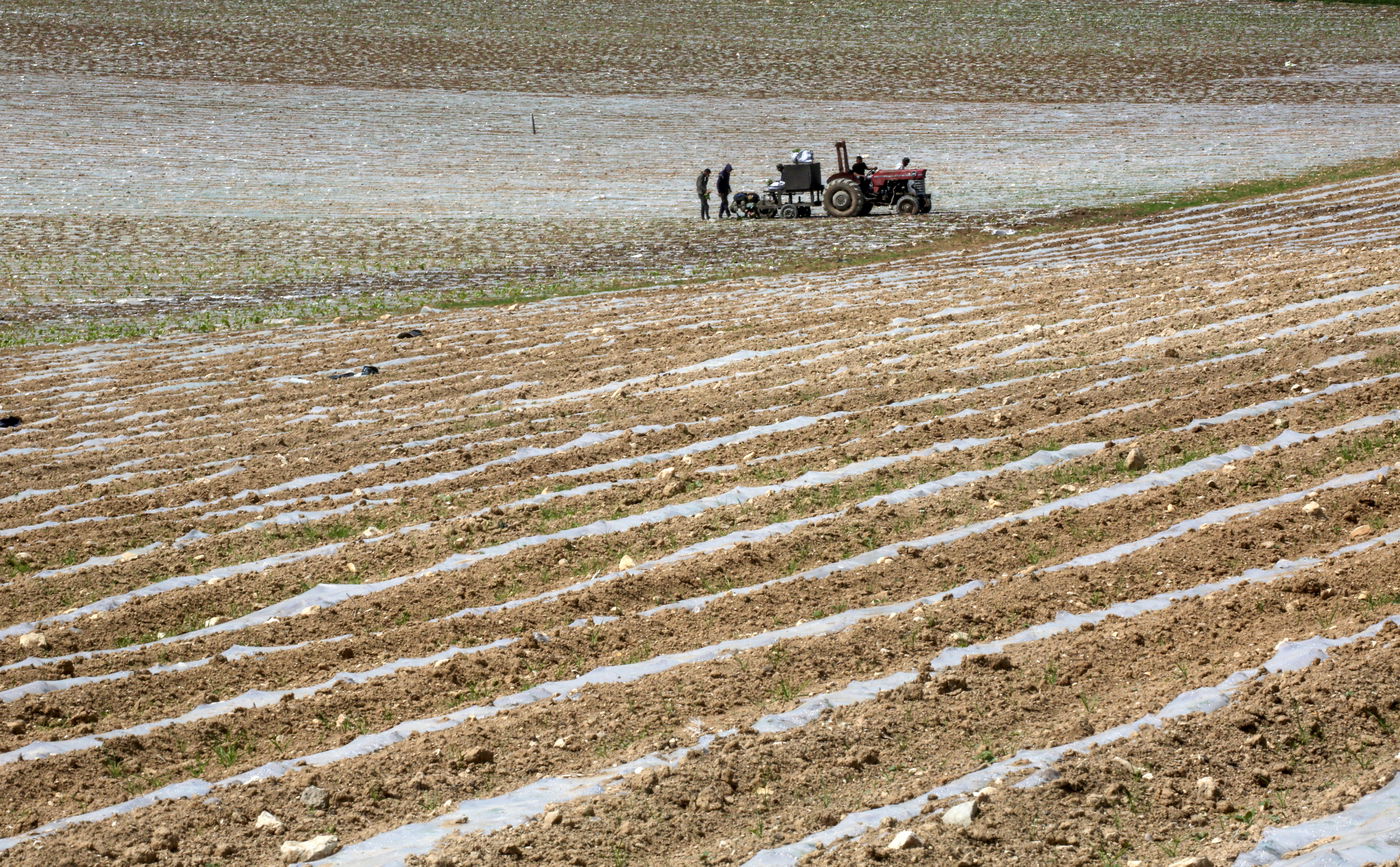 היום: חם עד שרבי ברוב הארץ | בשבת: צניחה בטמפרטורות 