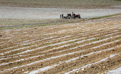 היום: חם עד שרבי ברוב הארץ | בשבת: צניחה בטמפרטורות 