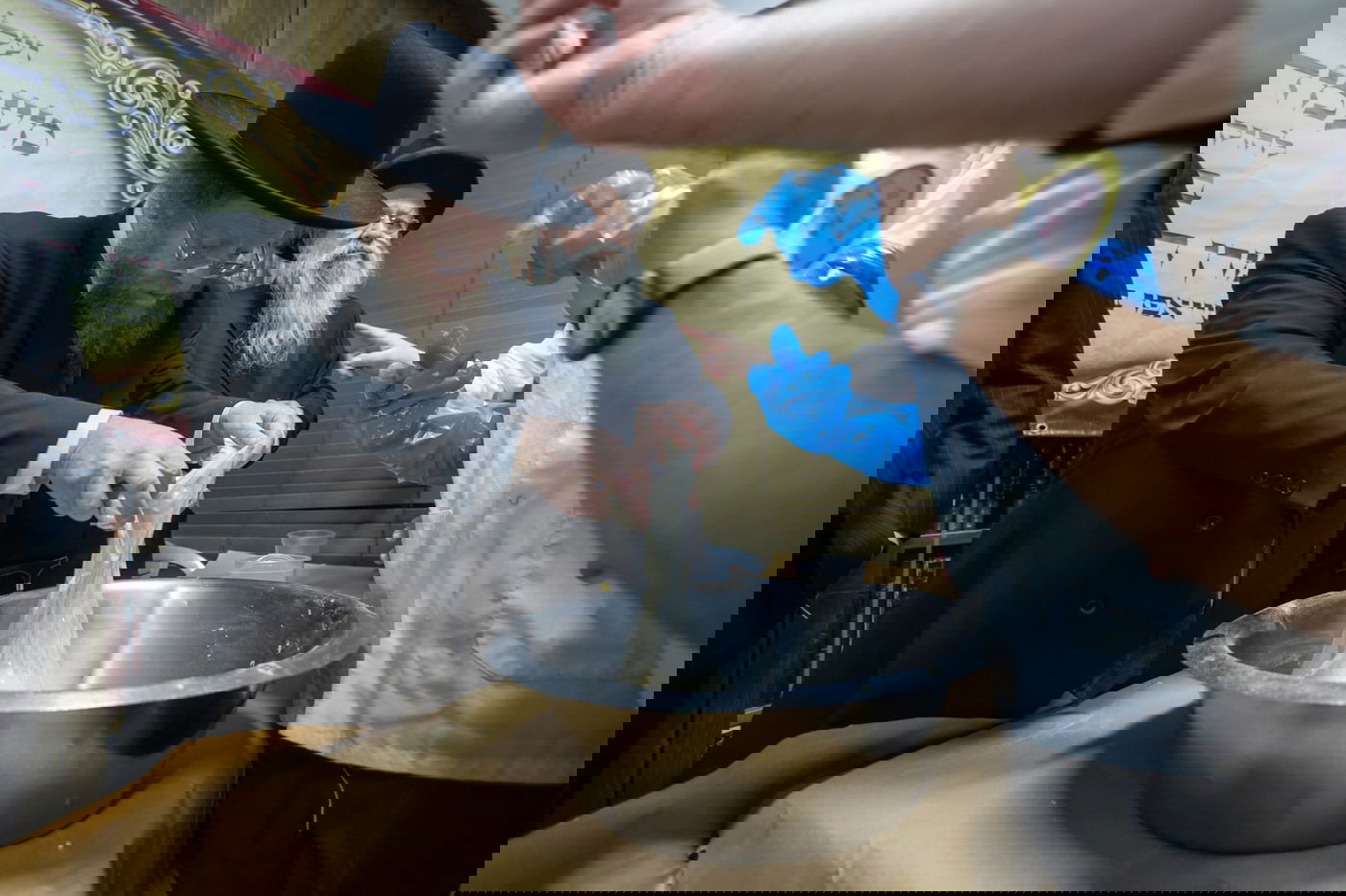 אפיית מצות עם הגר"ד סגל