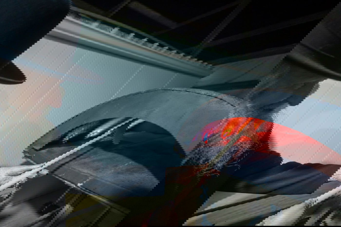 אפיית מצות עם הגר"ד סגל