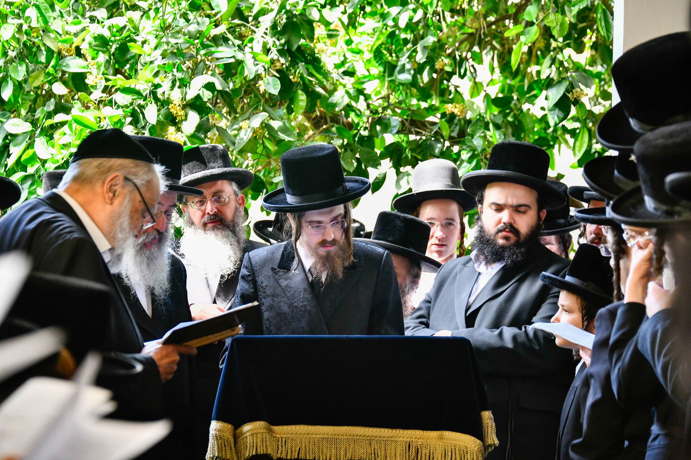 האדמו"ר מסאדיגורה בברכת האילנות 