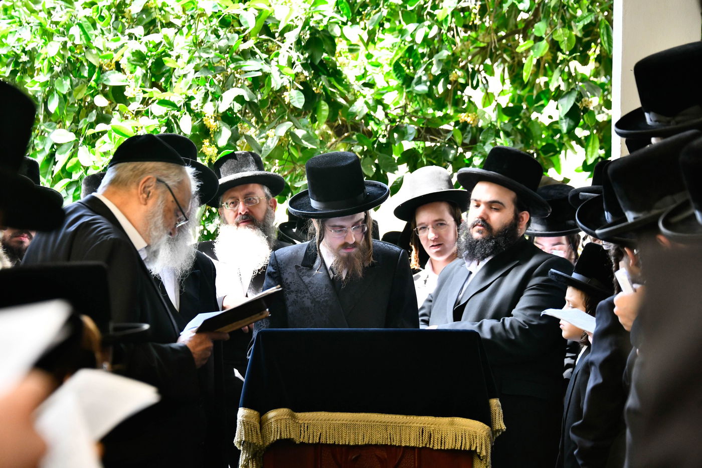 האדמו"ר מסאדיגורה בברכת האילנות 