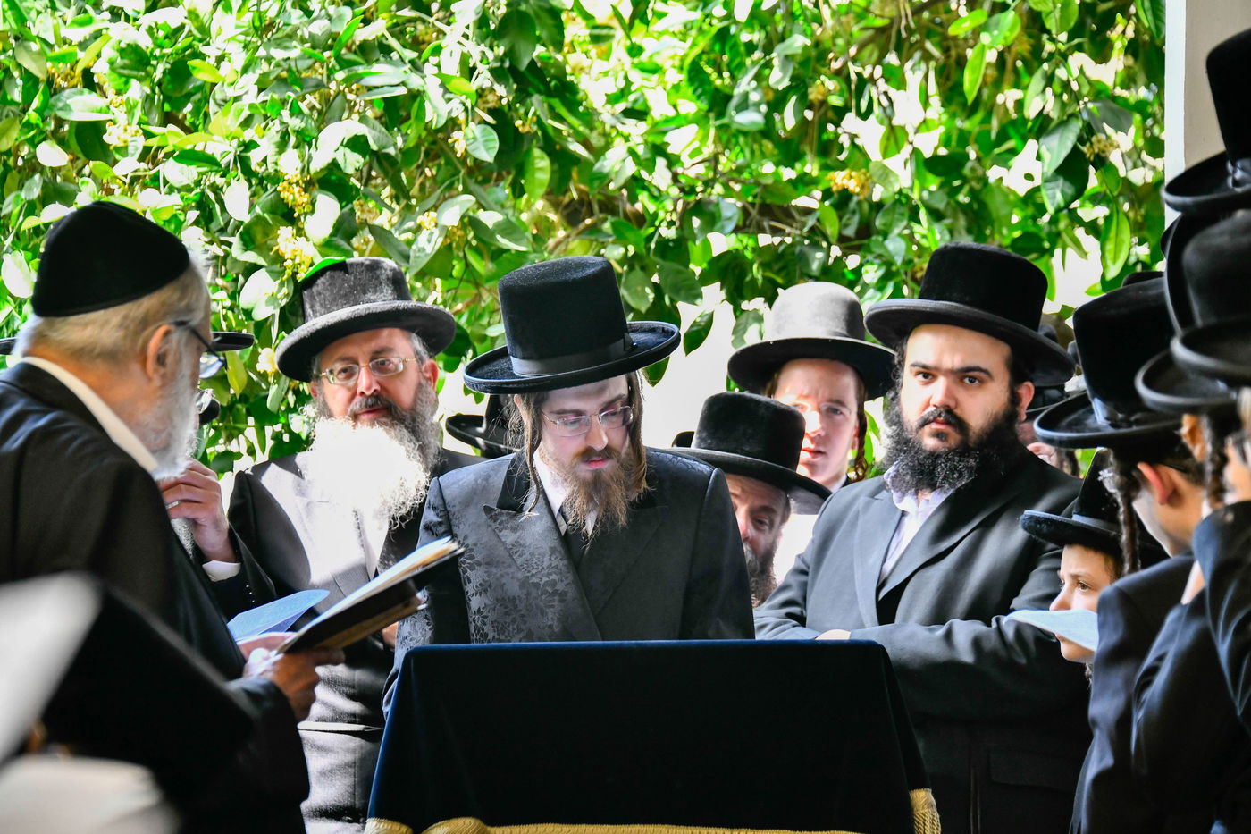 האדמו"ר מסאדיגורה בברכת האילנות 