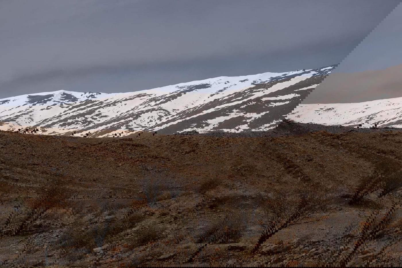 פעילות כוחות חטיבת ׳ההרים׳ (810)
