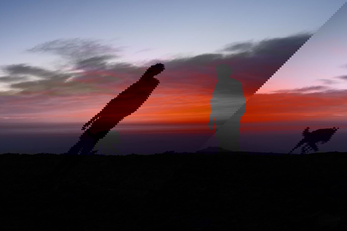 פעילות כוחות חטיבת ׳ההרים׳ (810)