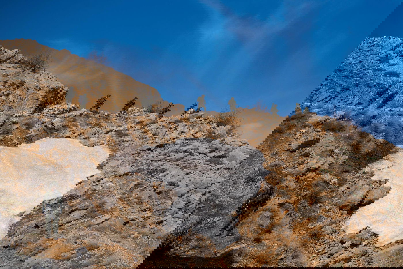 פעילות כוחות חטיבת ׳ההרים׳ (810)