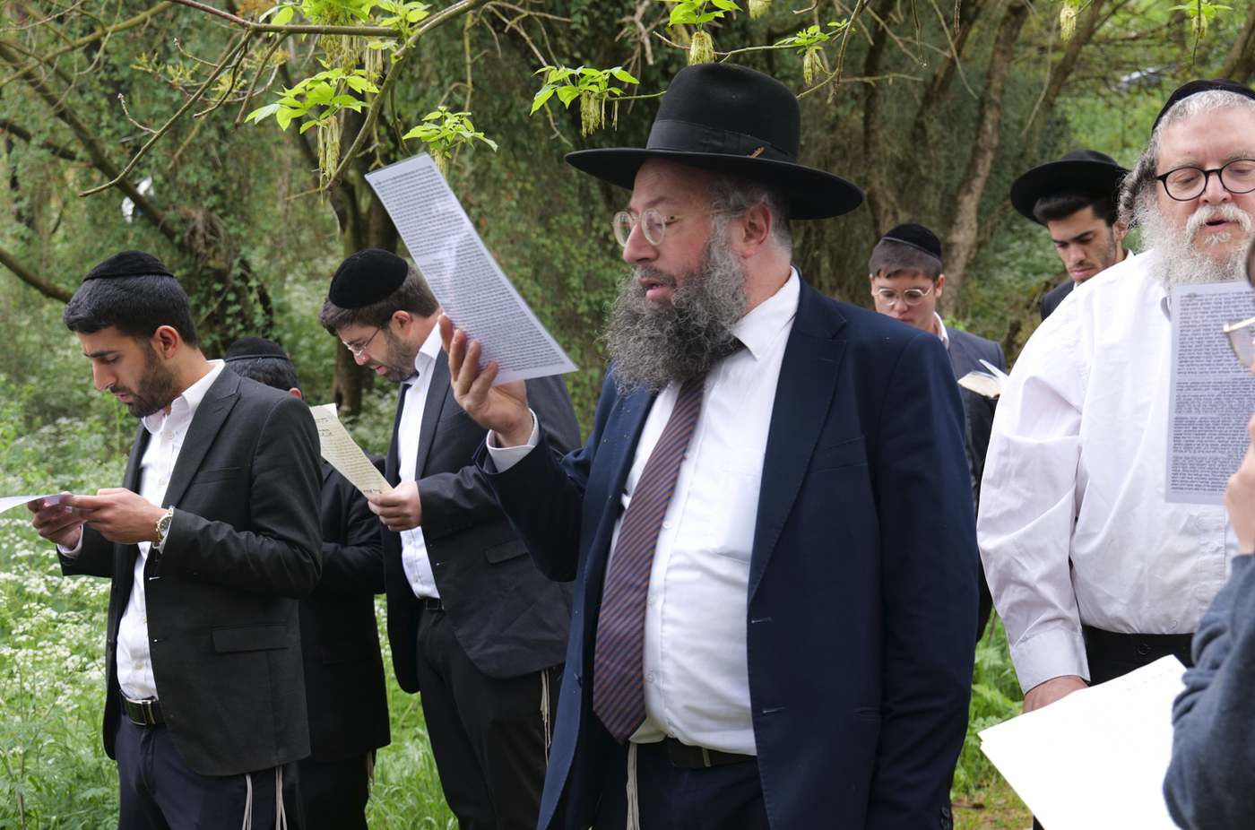 הפוסק הגאון רבי בנימין חותה בברכת האילנות