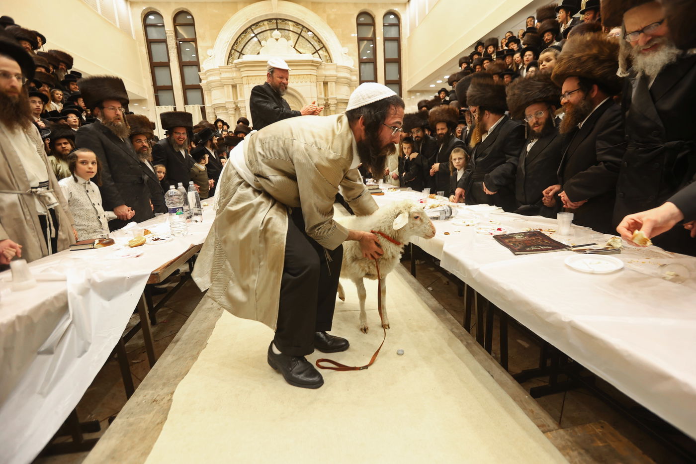 הרה"צ רבי אלימלך בידרמן שבת בבית שמש