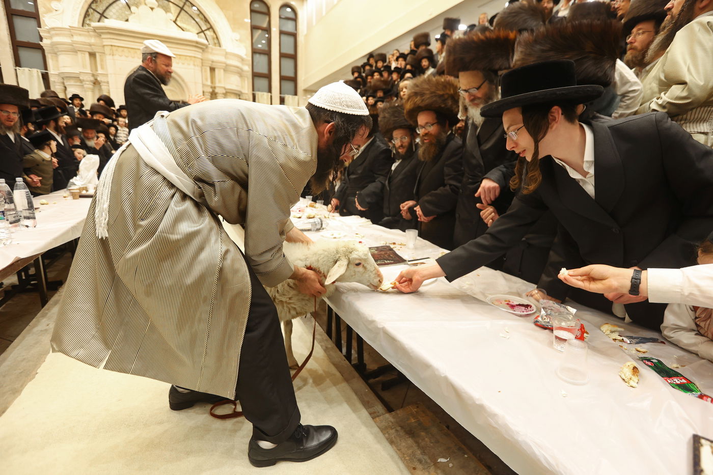 הרה"צ רבי אלימלך בידרמן שבת בבית שמש