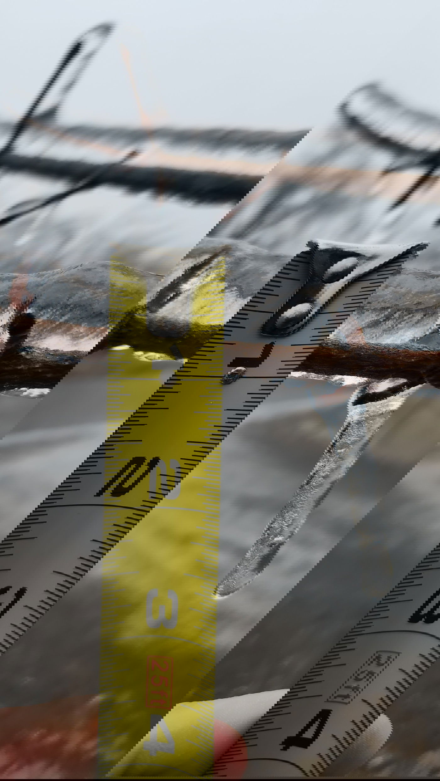 סופת קרח בקנדה