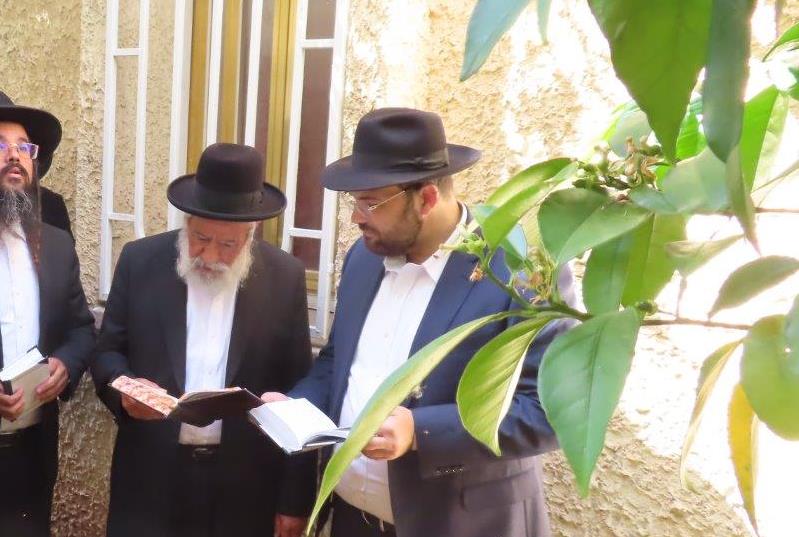 הגר"ש מחפוד בברכת האילנות