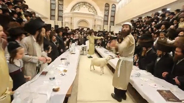 הרה"צ רבי אלימלך בידרמן שבת בבית שמש