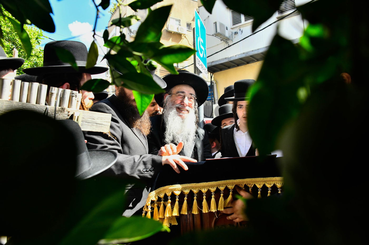 האדמו"ר מאלכסנדר בברכת האילנות