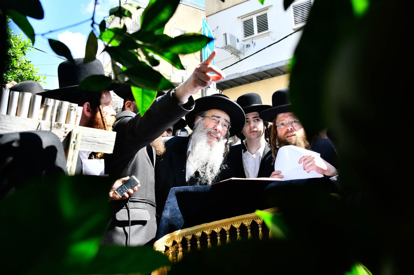 האדמו"ר מאלכסנדר בברכת האילנות