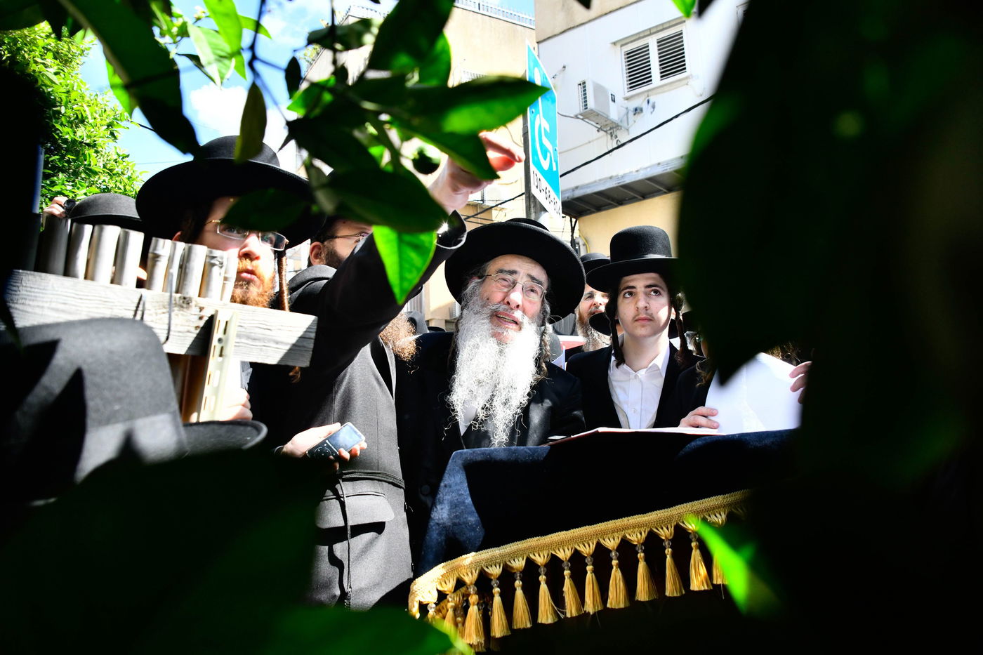 האדמו"ר מאלכסנדר בברכת האילנות