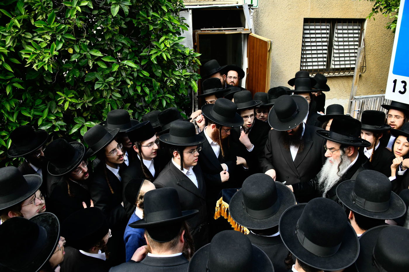 האדמו"ר מאלכסנדר בברכת האילנות