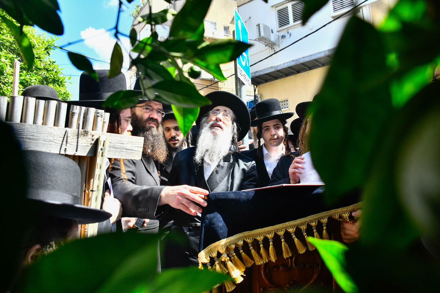 האדמו"ר מאלכסנדר בברכת האילנות