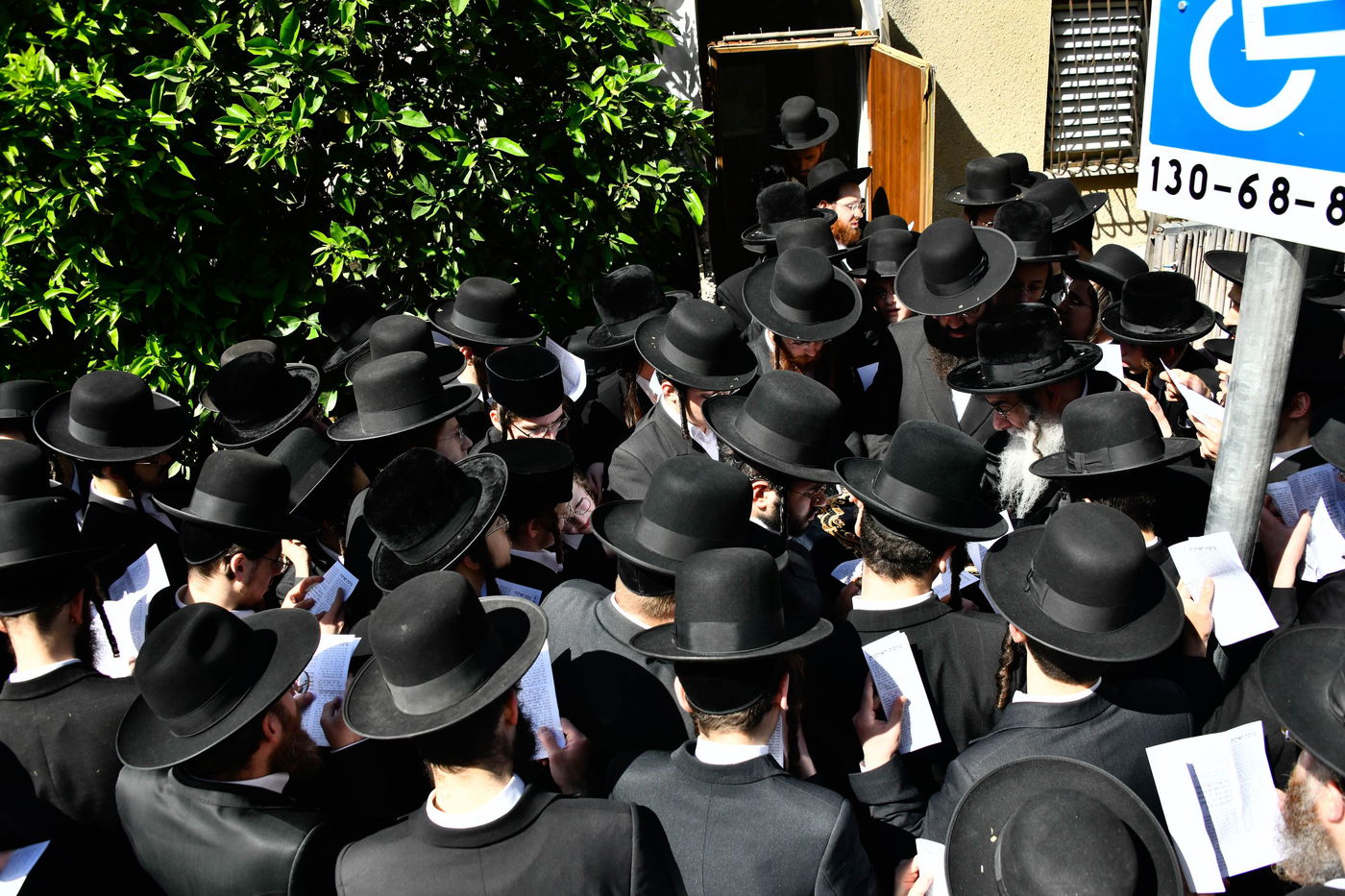 האדמו"ר מאלכסנדר בברכת האילנות