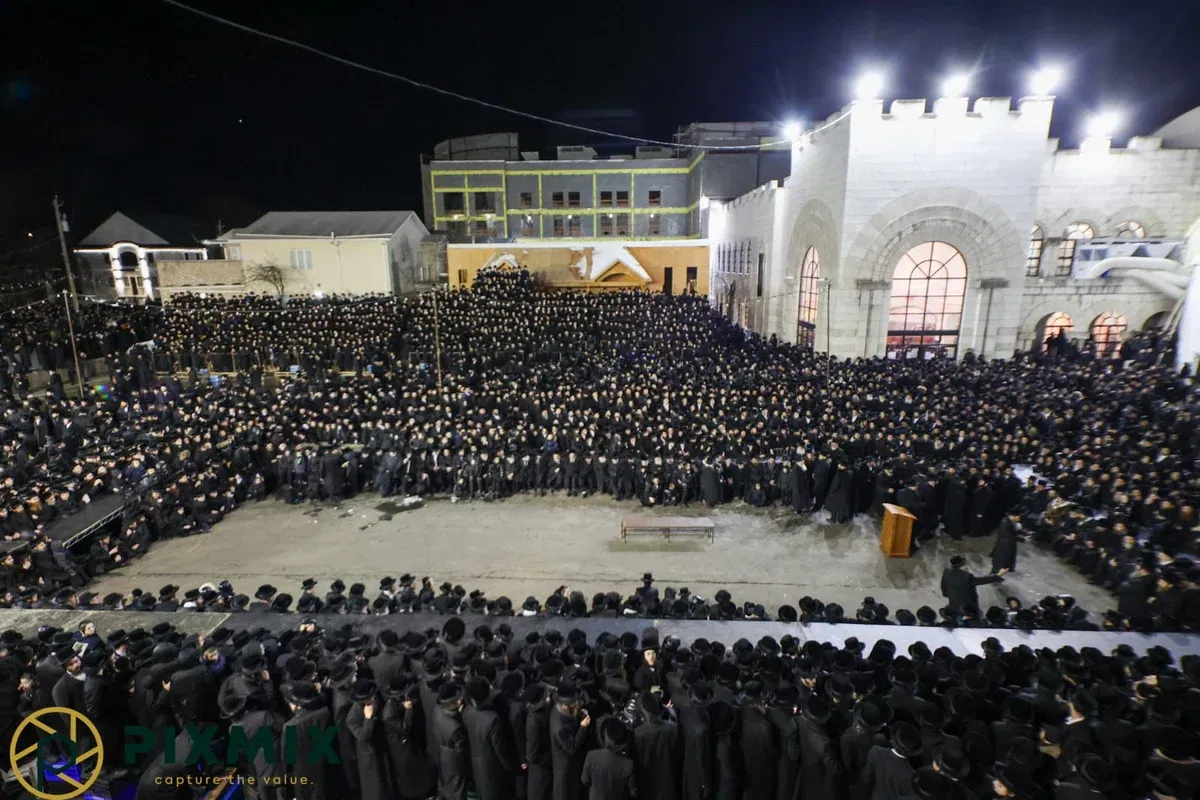 חצר הקוד סקווירא