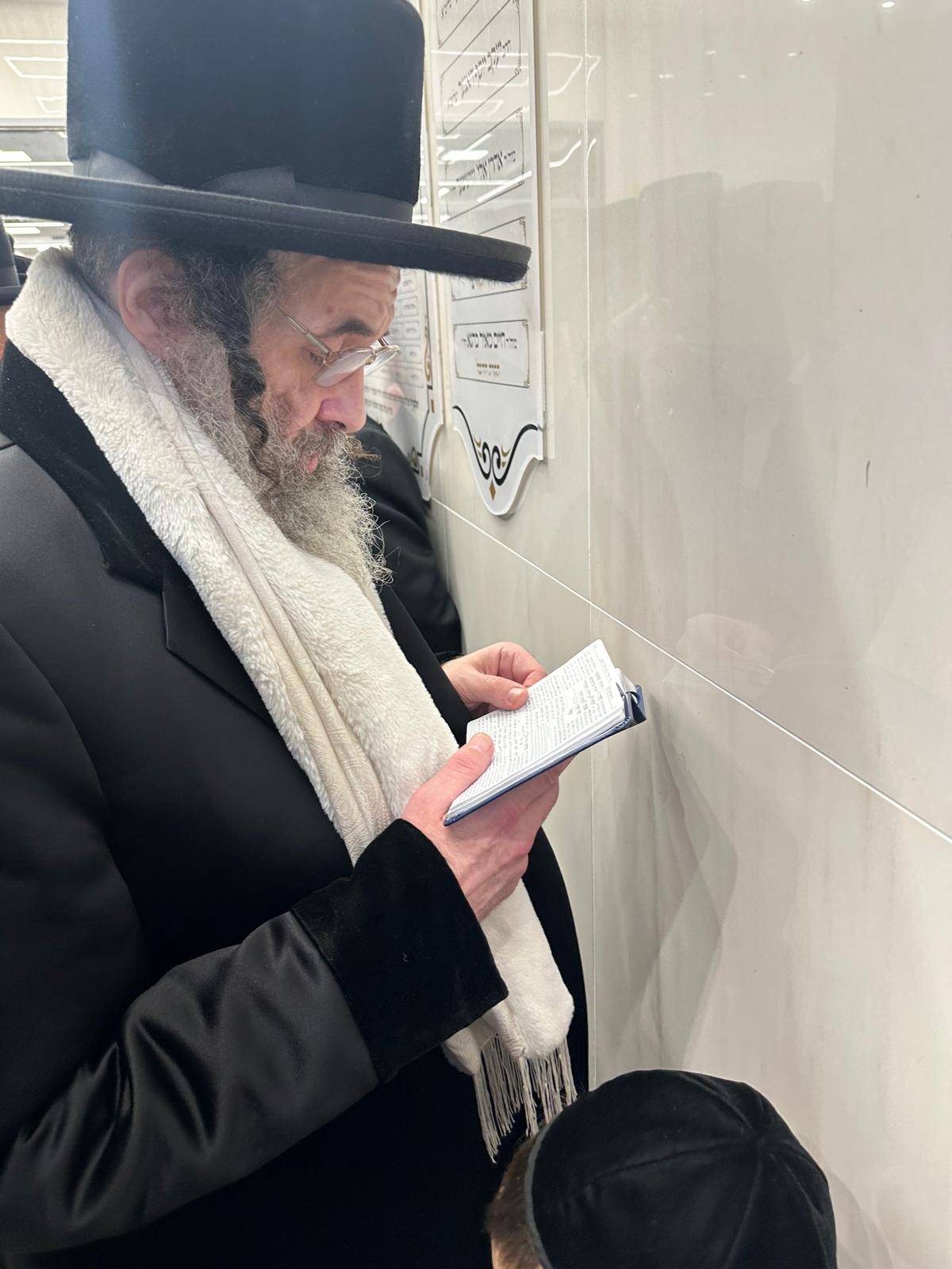 הכנסת ספר תורה לביהמ"ד ויז'ניץ בורו פארק