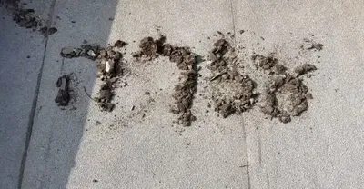 סמל ההפקרה - קריאת העזרה של החייל