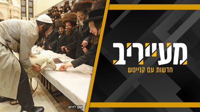 כבש אוכל הערינג וההפתעה השנתית של ר' שלום בער • מעייריב