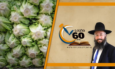 מרור וכרפס מגידולי מים - כשרים לליל הסדר? • צפו 