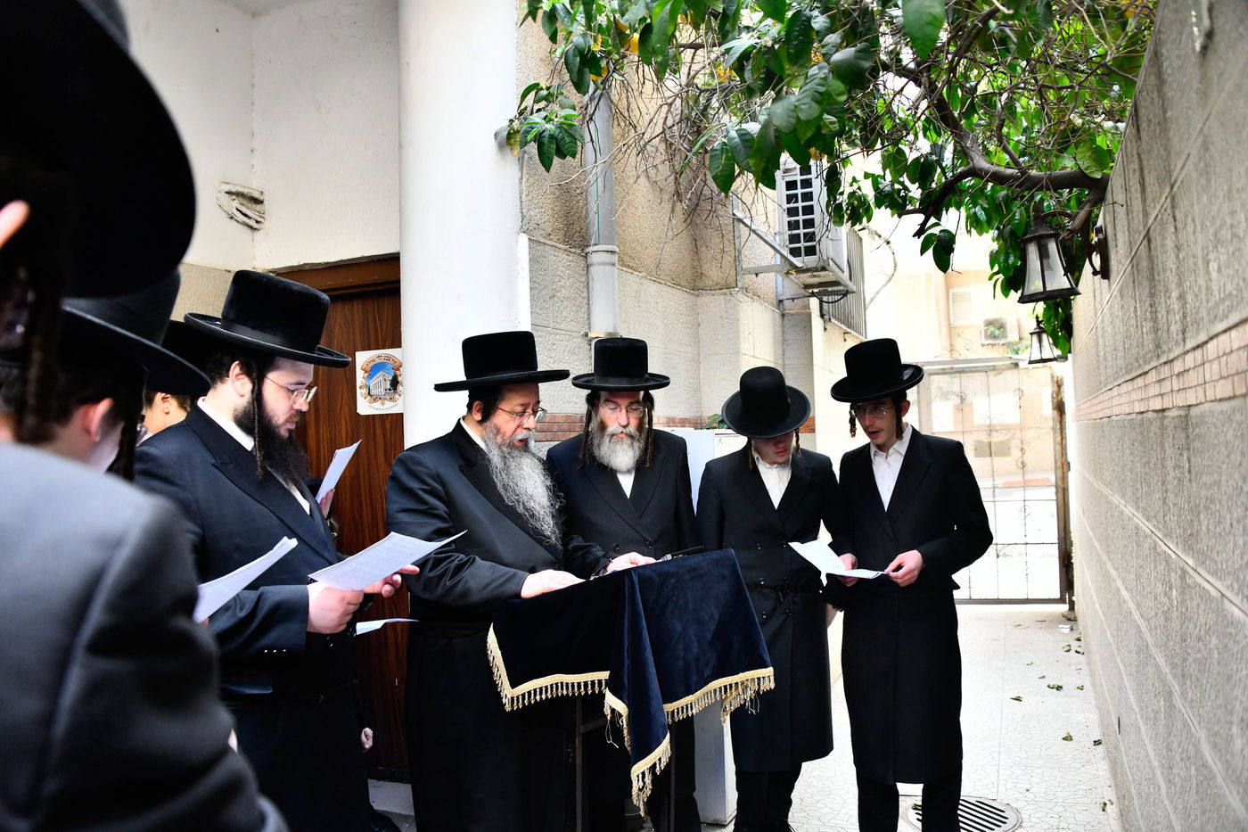 האדמו"ר משבט הלוי בברכת האילנות 