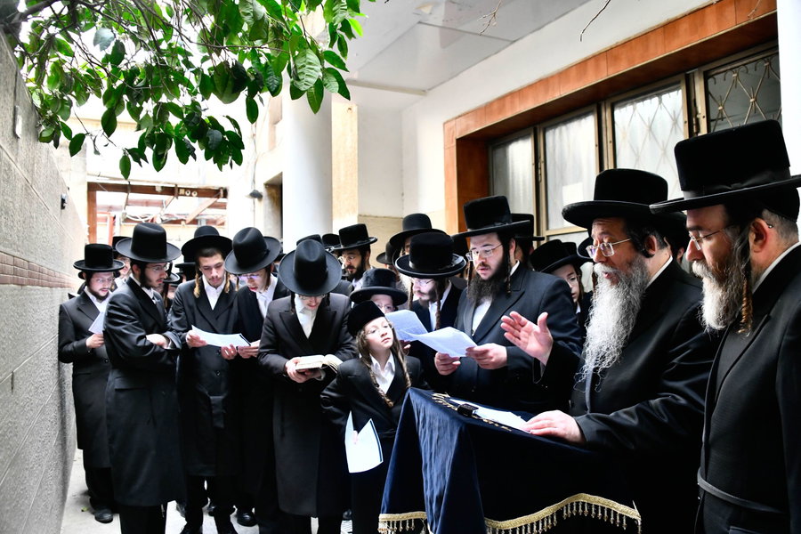 האדמו"ר משבט הלוי בברכת האילנות