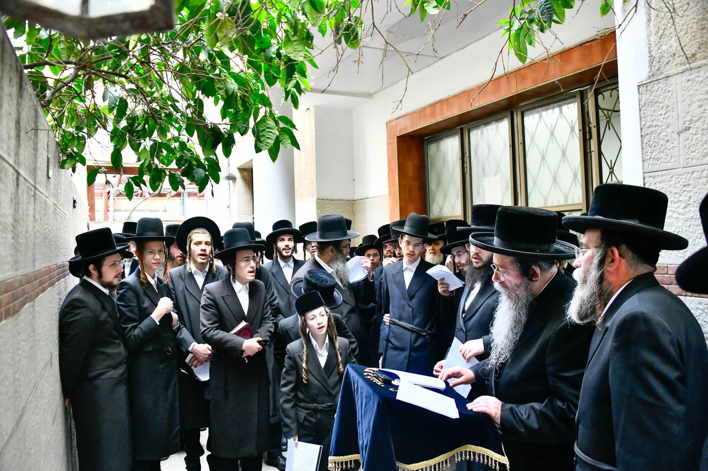 האדמו"ר משבט הלוי בברכת האילנות 