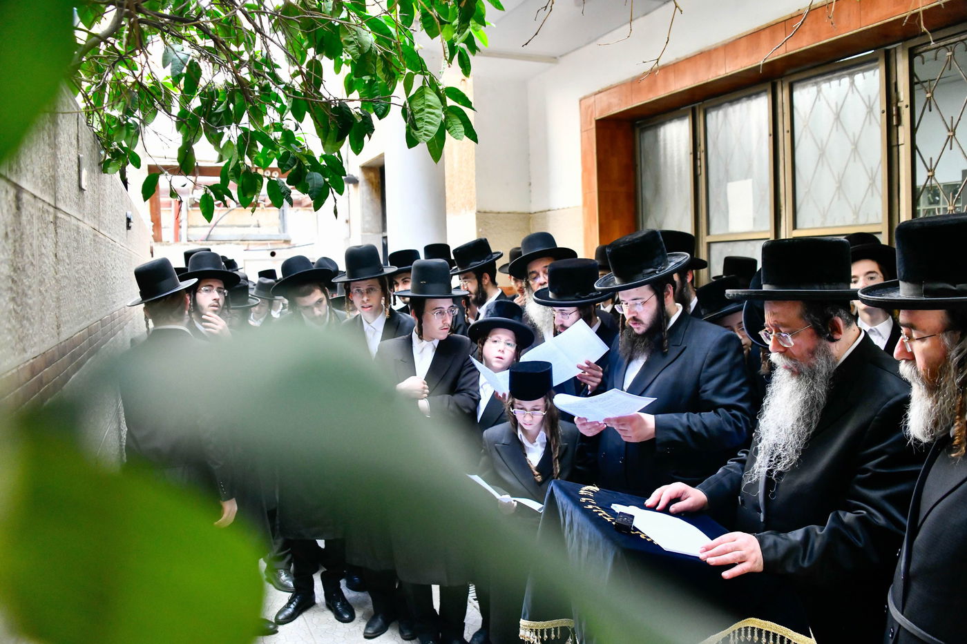 האדמו"ר משבט הלוי בברכת האילנות 