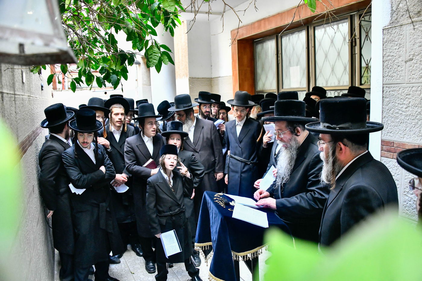 האדמו"ר משבט הלוי בברכת האילנות 