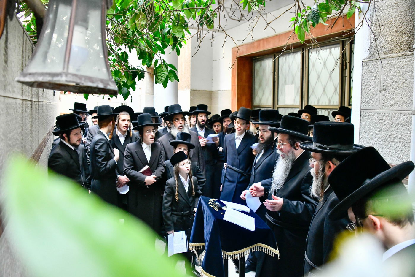 האדמו"ר משבט הלוי בברכת האילנות 