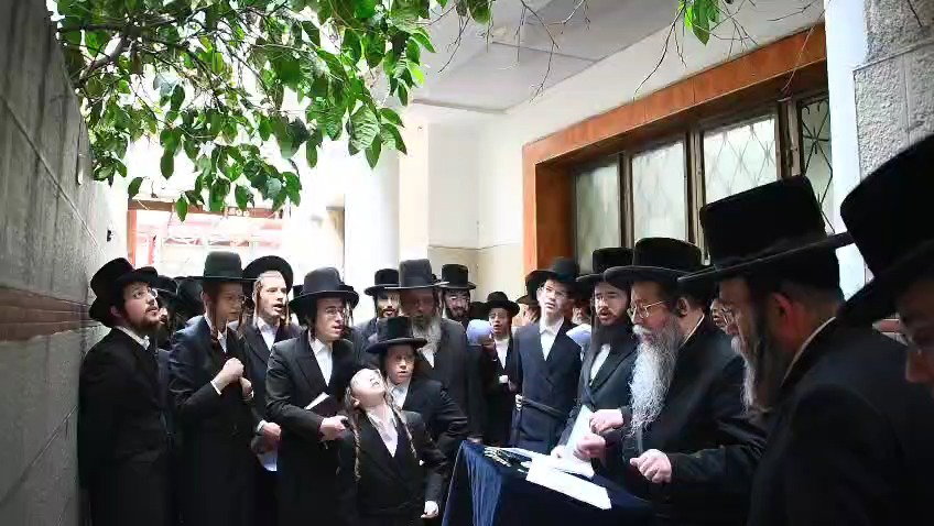 האדמו"ר משבט הלוי בברכת האילנות 