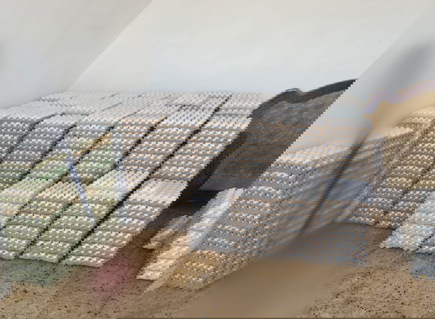 הביצים המזויפות