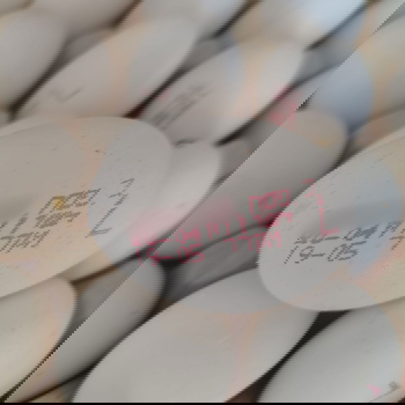 הביצים המזויפות