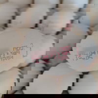 הביצים המזויפות