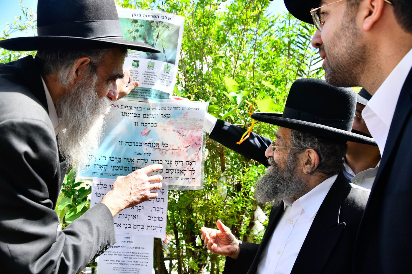 הגאון רבי מסעוד בן שמעון בברכת האילנות